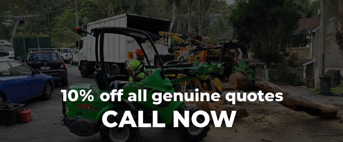 10% OFF all genuine quotes - Call now for tree removal Sydney