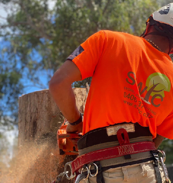 Sydney Tree Cutting team at work