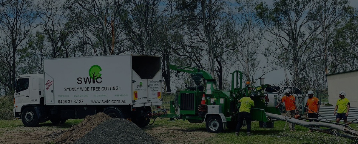 Sydney Tree Cutting Services