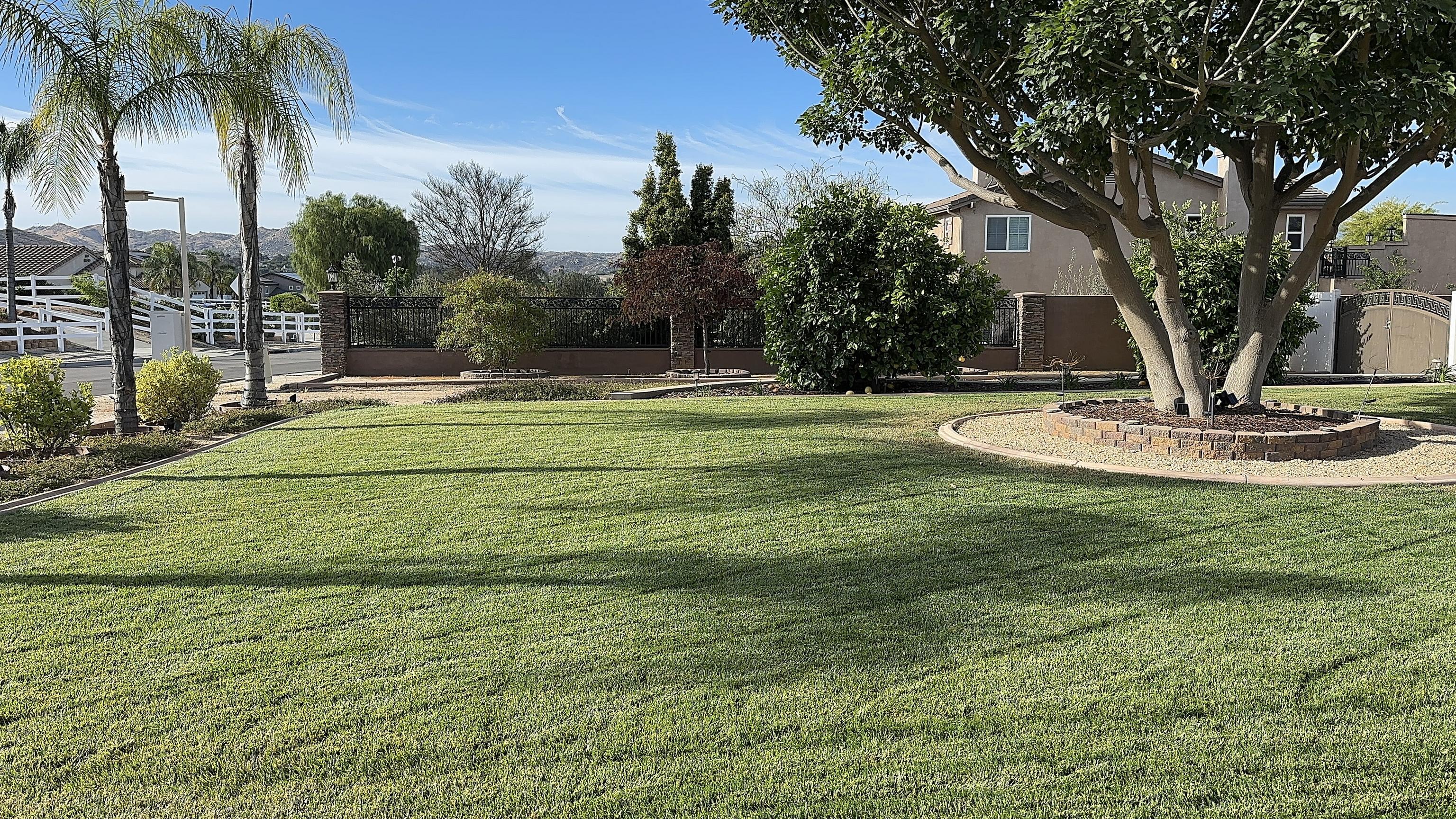 Curb Appeal Maintenance