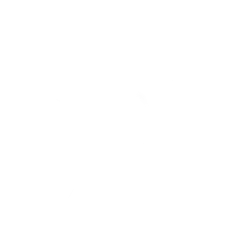 Intellimint Logo