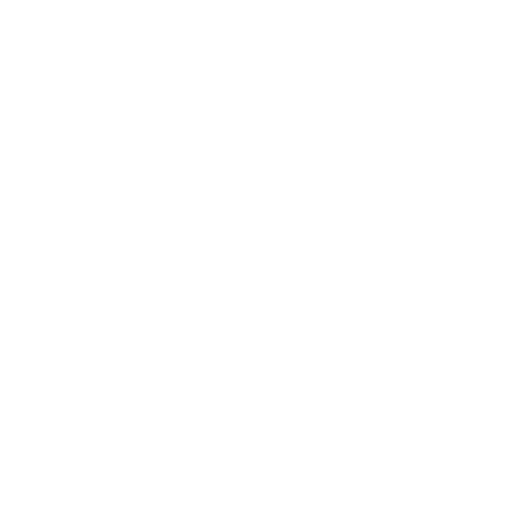 SANEFLIX