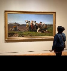 Fresh blooms on canvas 🌷