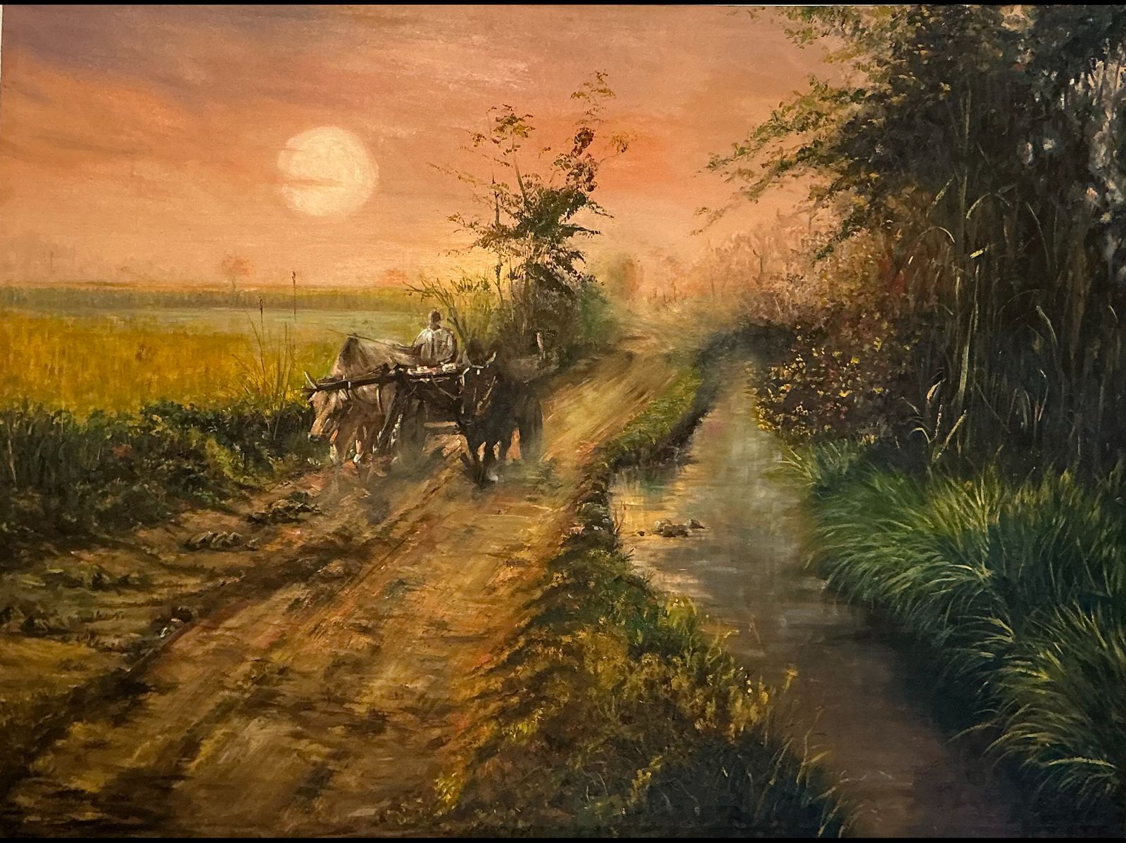 Misty Forest Tranquility And Wonder