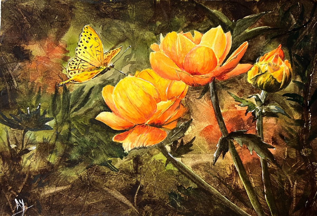 Orange Blooms With Butterfly In Flight