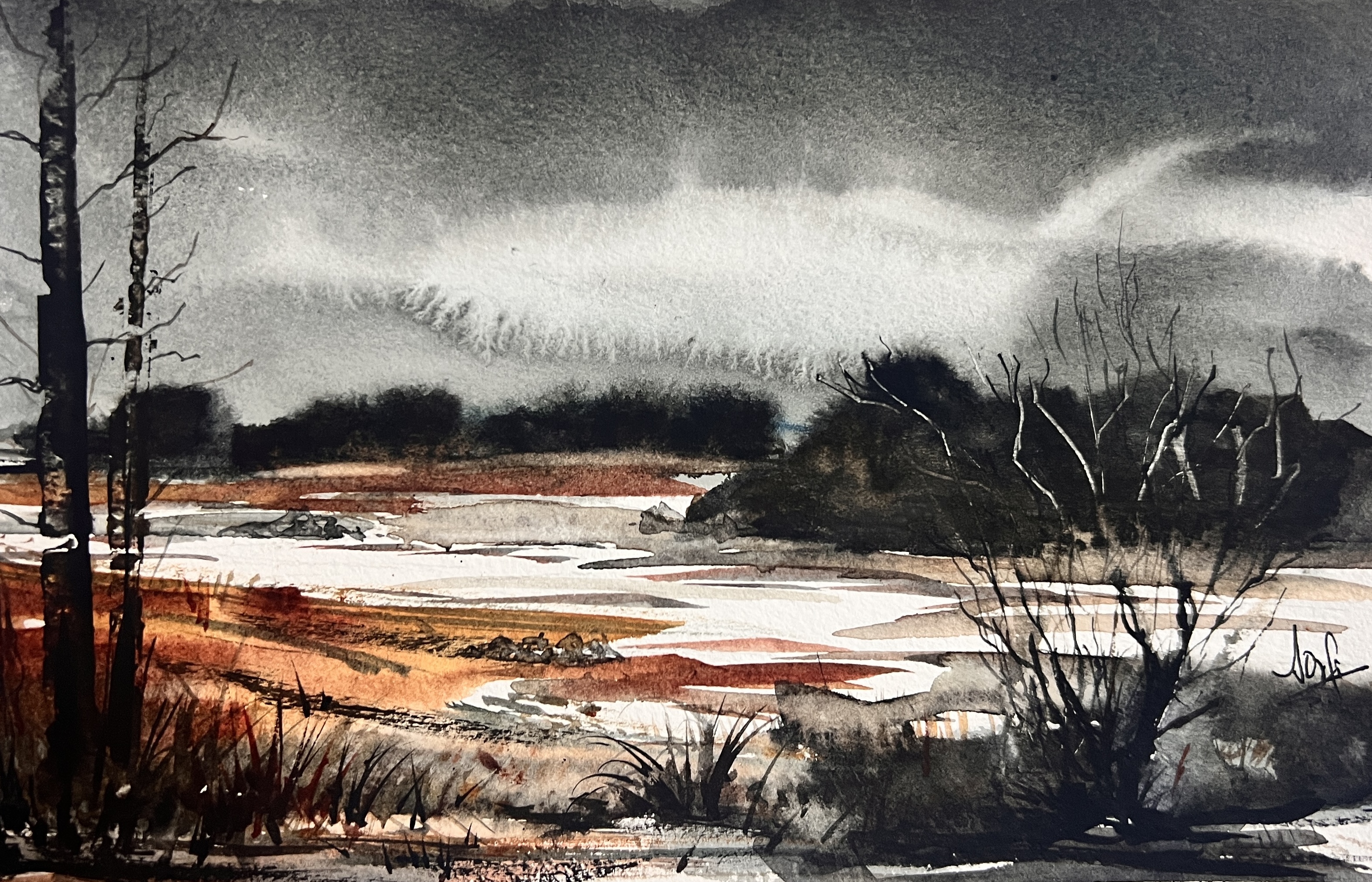 Stormwashed Marsh