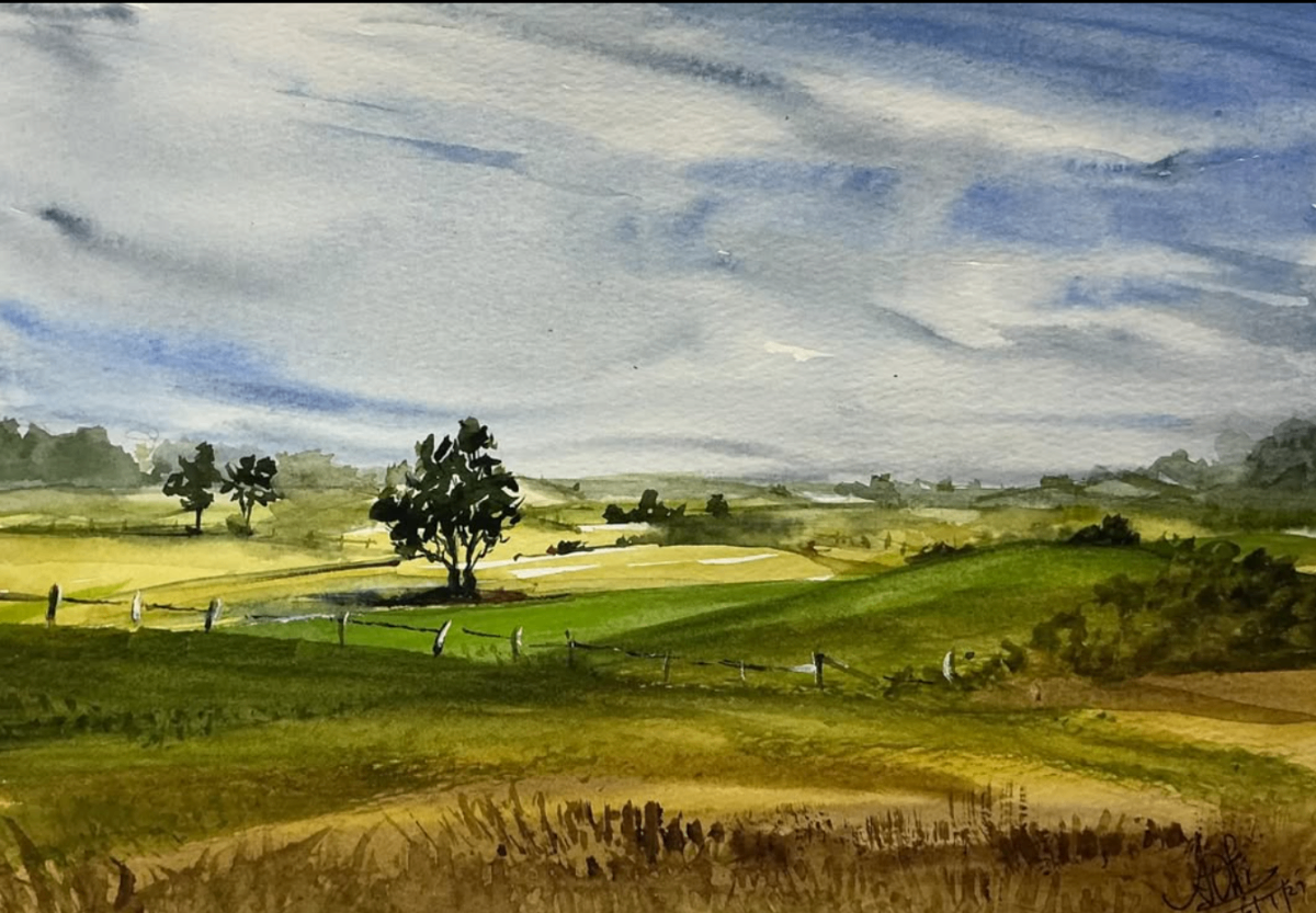 Nature's Golden Hour Beauty