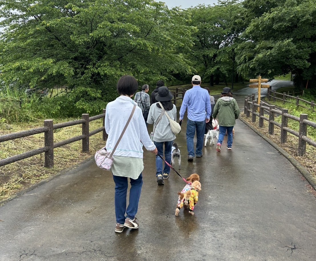 パックウォークの様子1