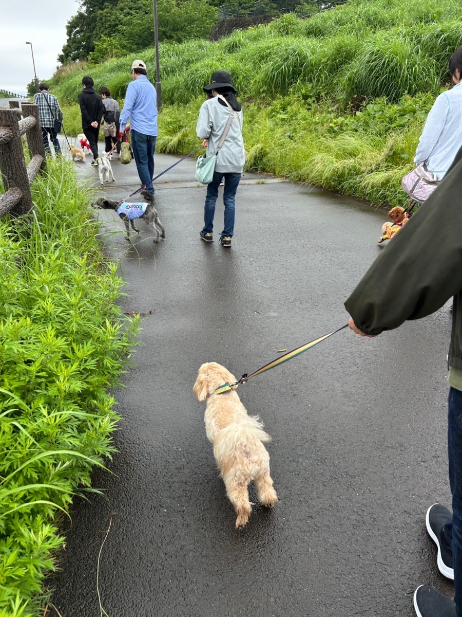 愛犬と一緒に楽しく学ぶ