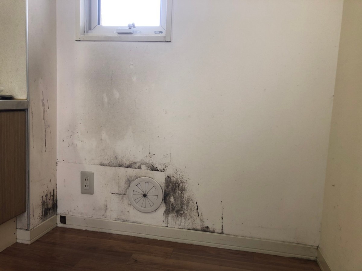 湿気によるカビ汚れの完全除去 - 壁紙張替え前のクロス汚れ状態