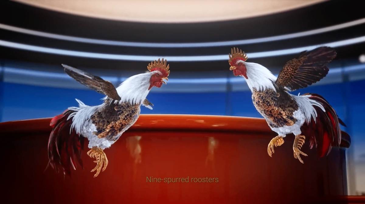 NOBU DANANG tvC gallery 2