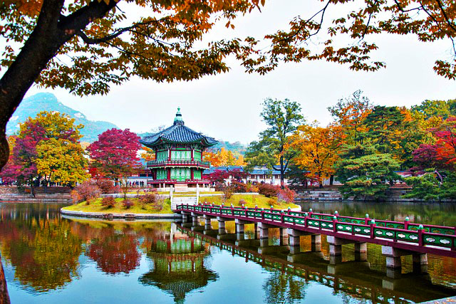 Seoul K-Culture Experience: Modern Korean Adventure