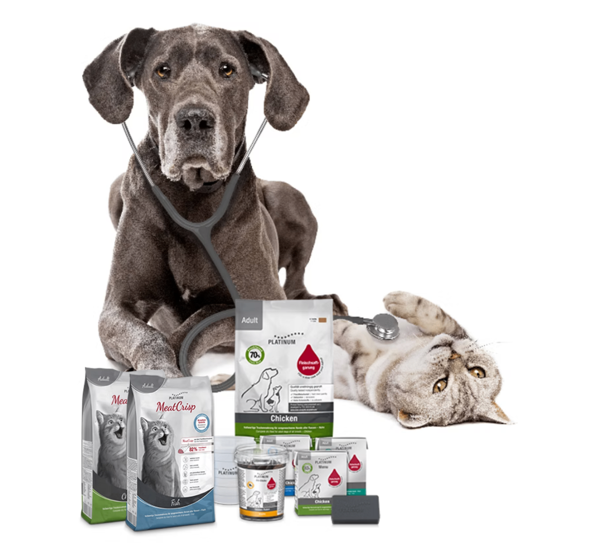 Hund und Katze mit Tierversicherung