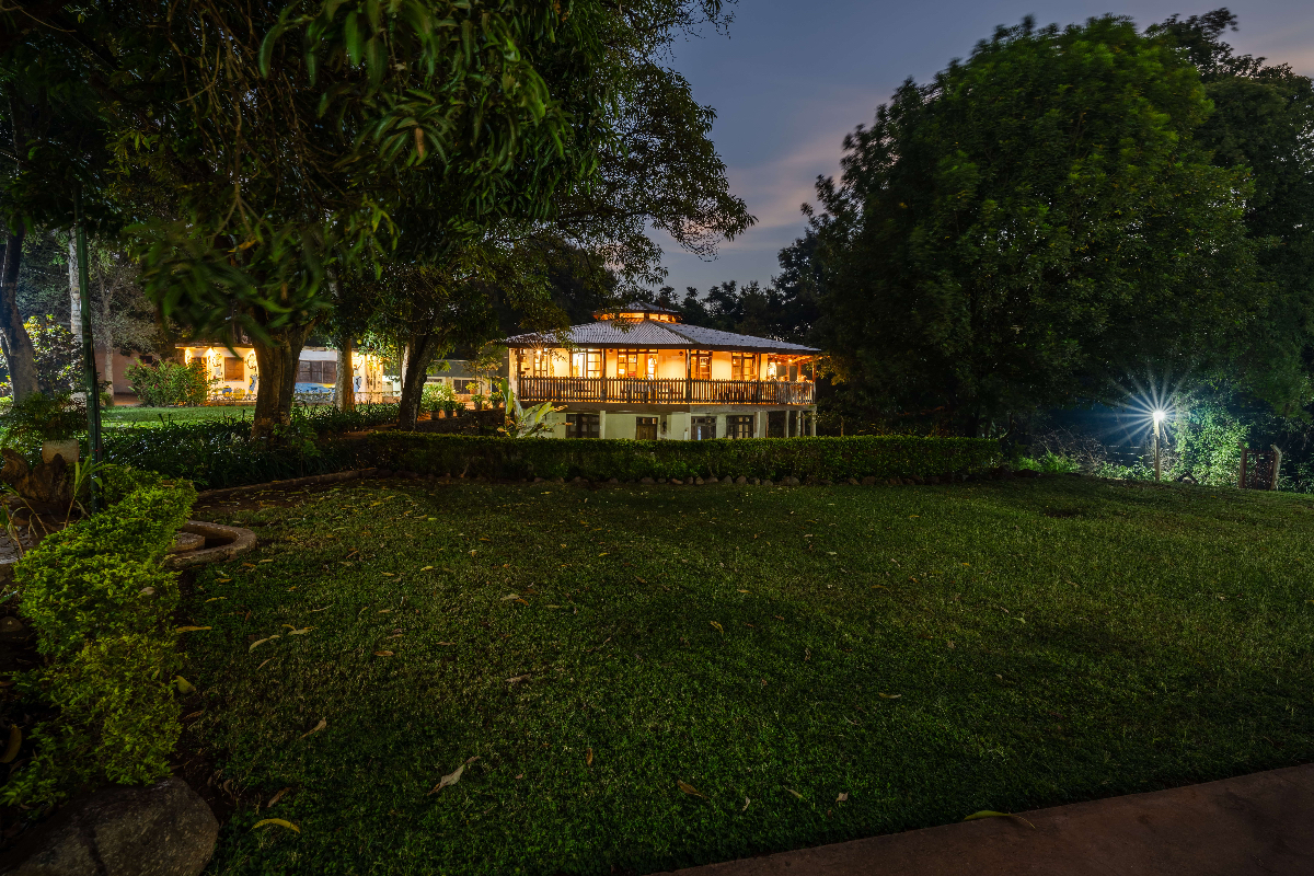 Mount Kilimanjaro View 1
