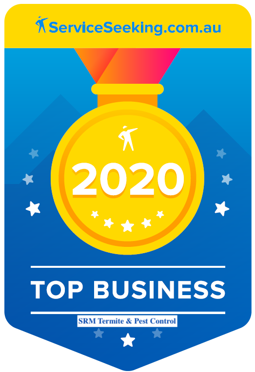ServiceSeeking Top Business 2020