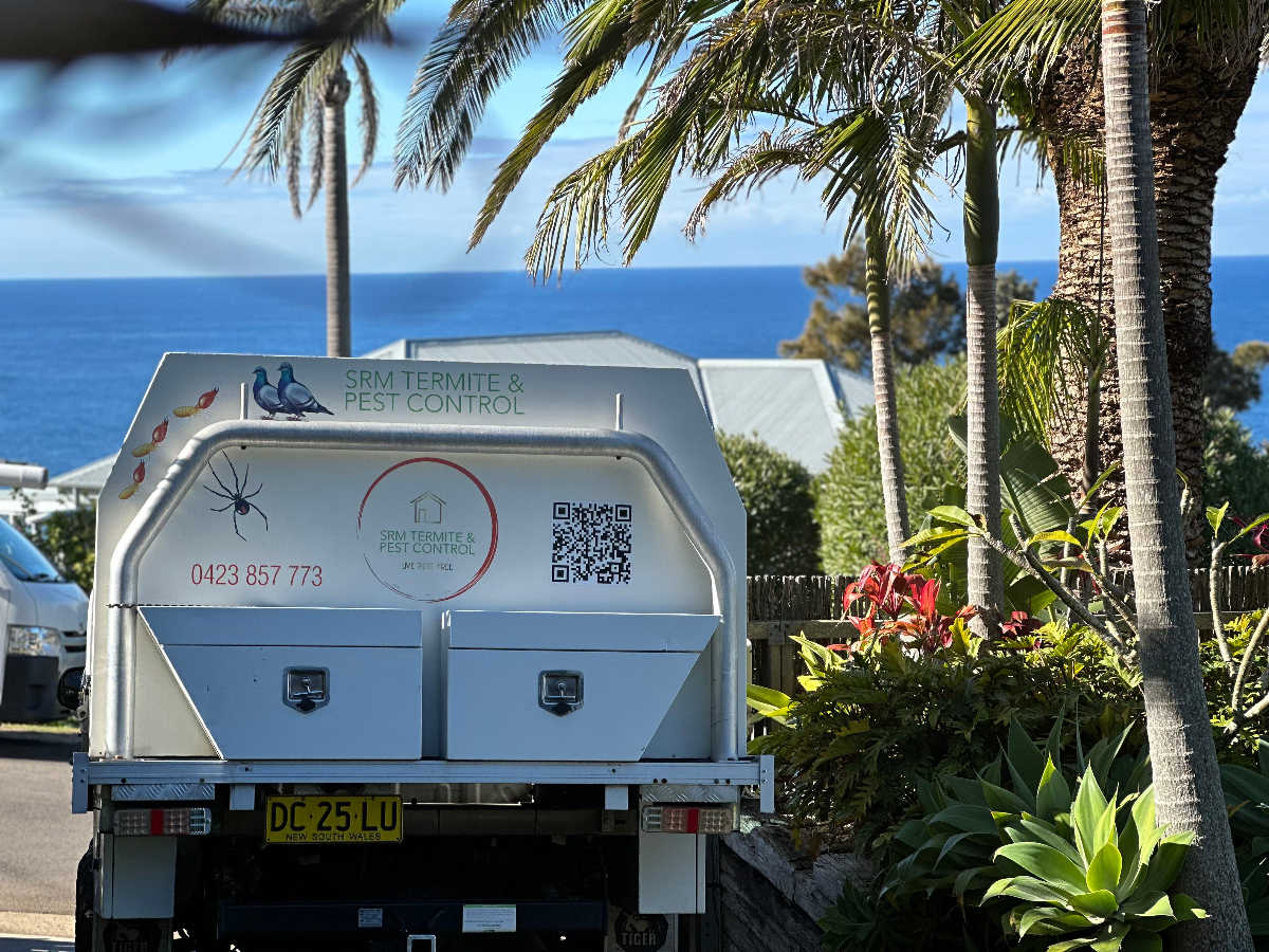 Professional Pest Control Service