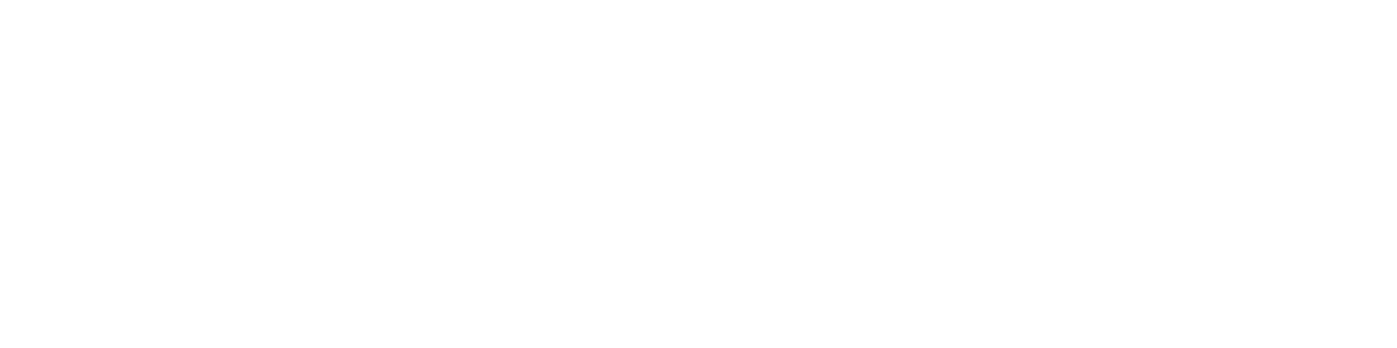 QACCESS Logo