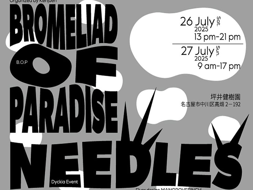 B.O.P with NEEDLES⚡️