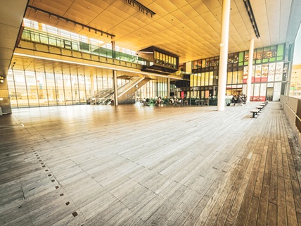 🌱 樹祭 一宮 楽市