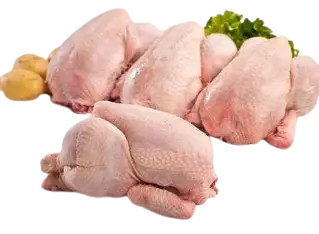 Viande de Poulet