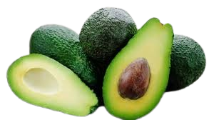 Avocat