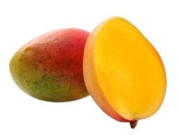 Mangue