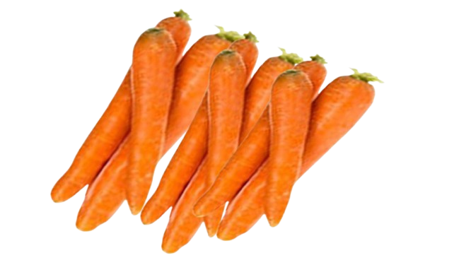 Carottes