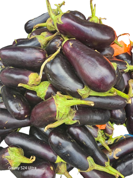 Aubergines Noires