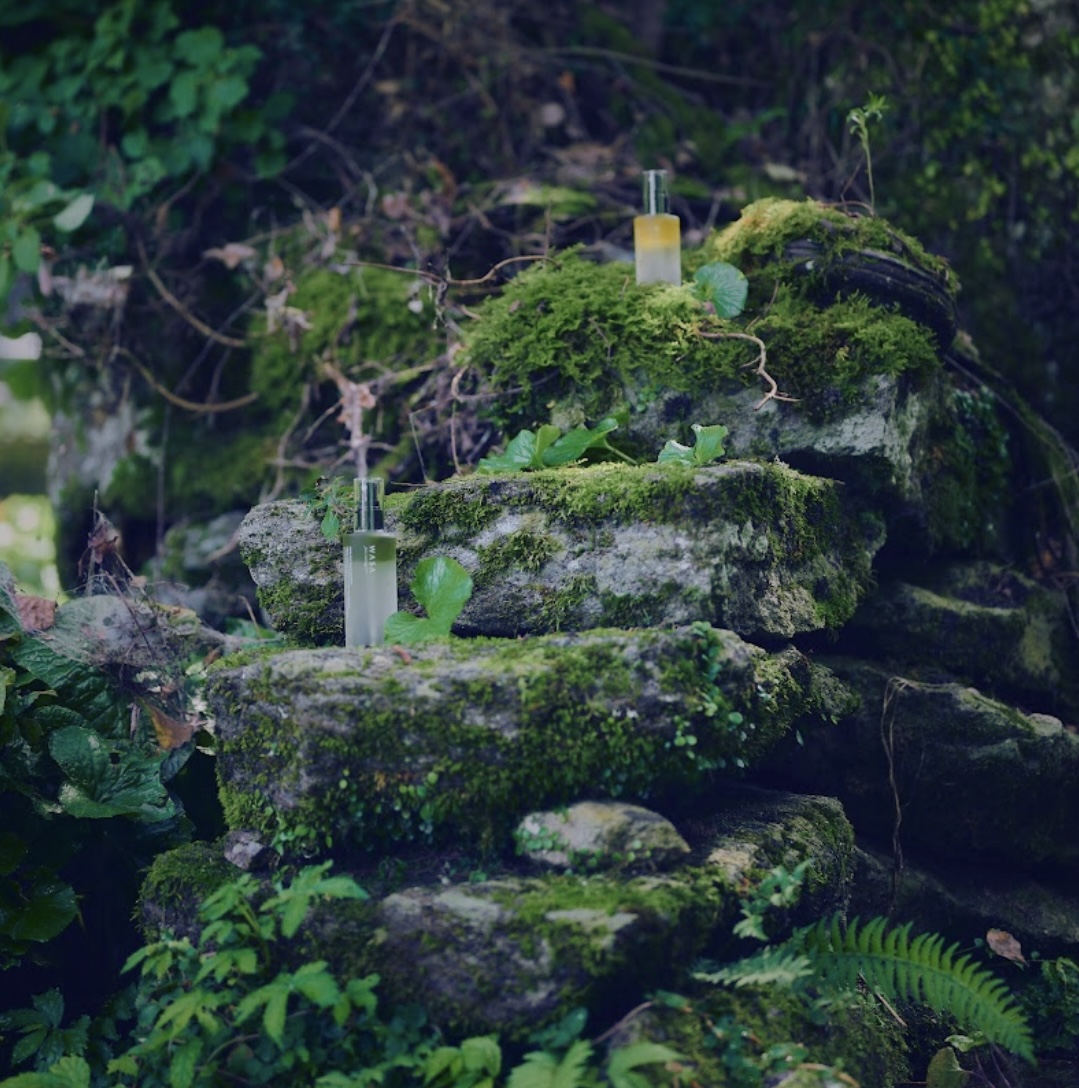 伊豆の風景