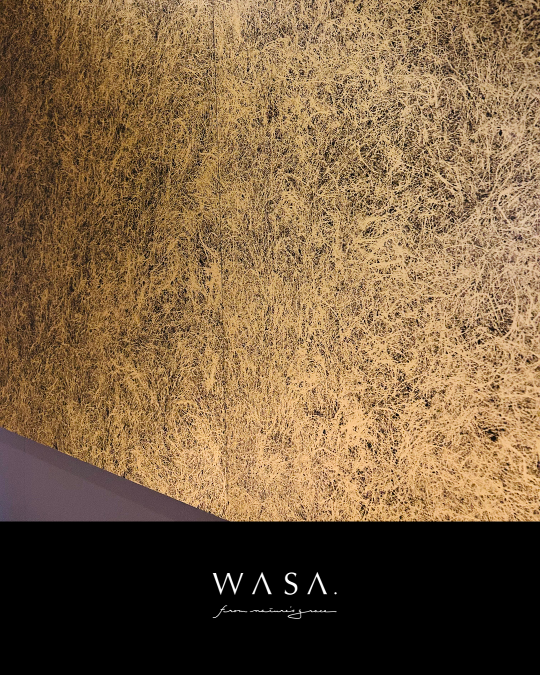 WASA.が叶える美しさ