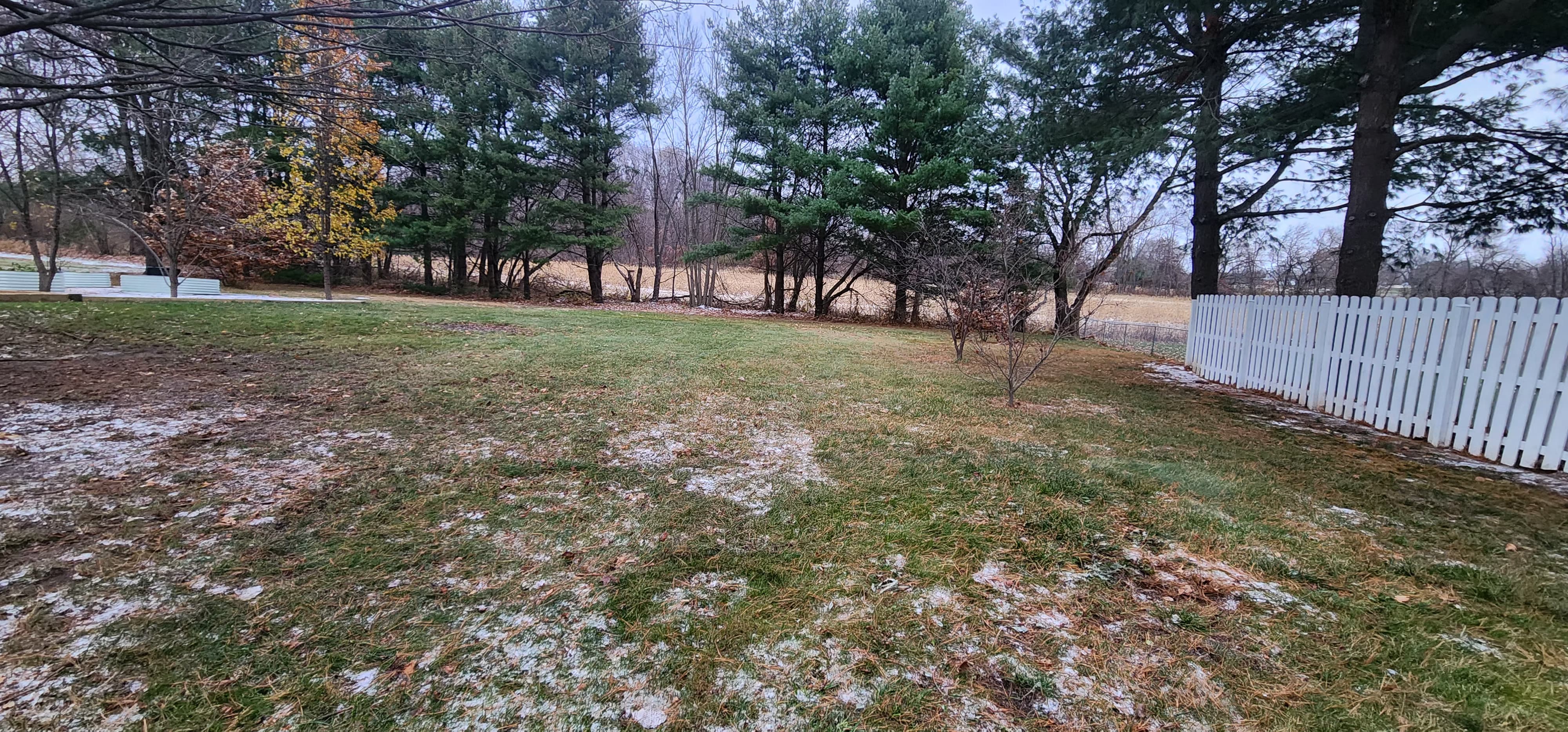 Trash & Debris Removal - Image 3