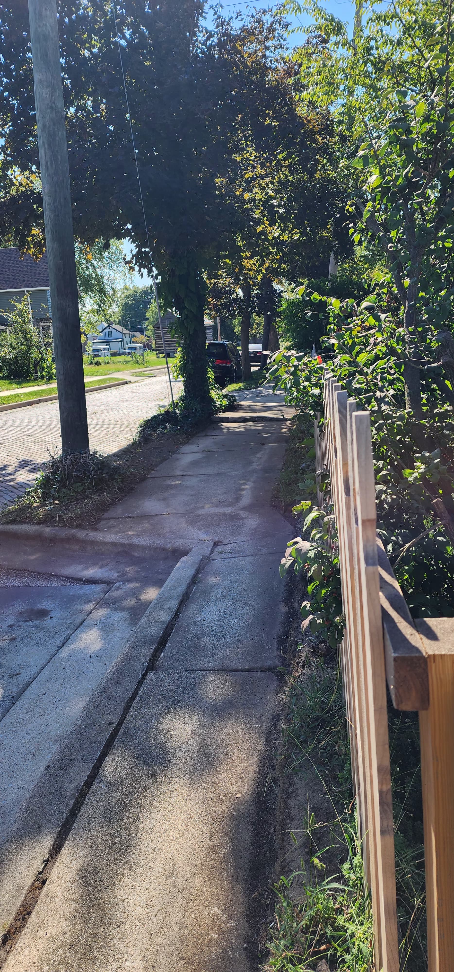 Tree & Yard Trimming - Image 3