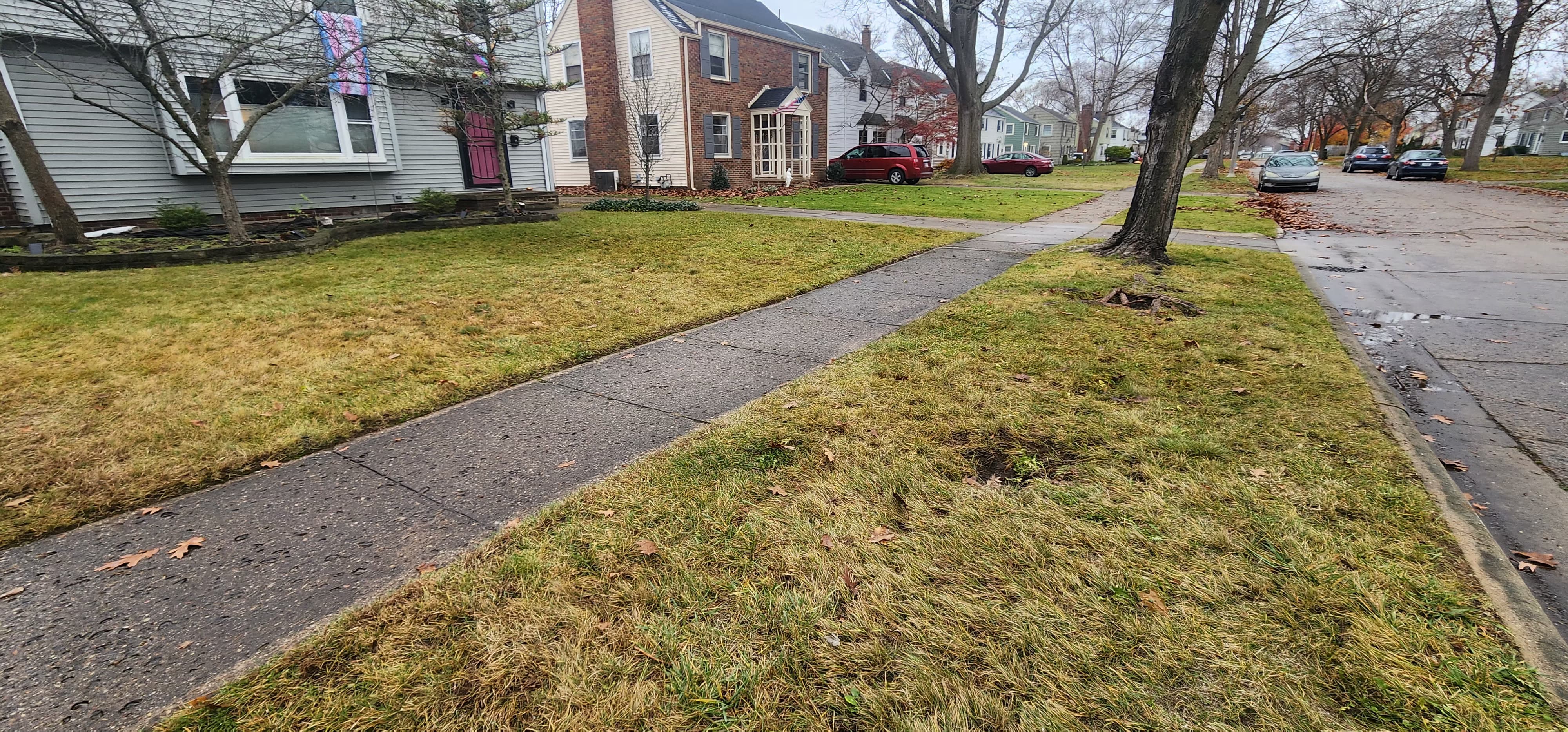 Trash & Debris Removal - Image 2