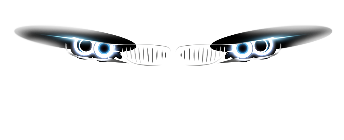 Marche Detailing Logo