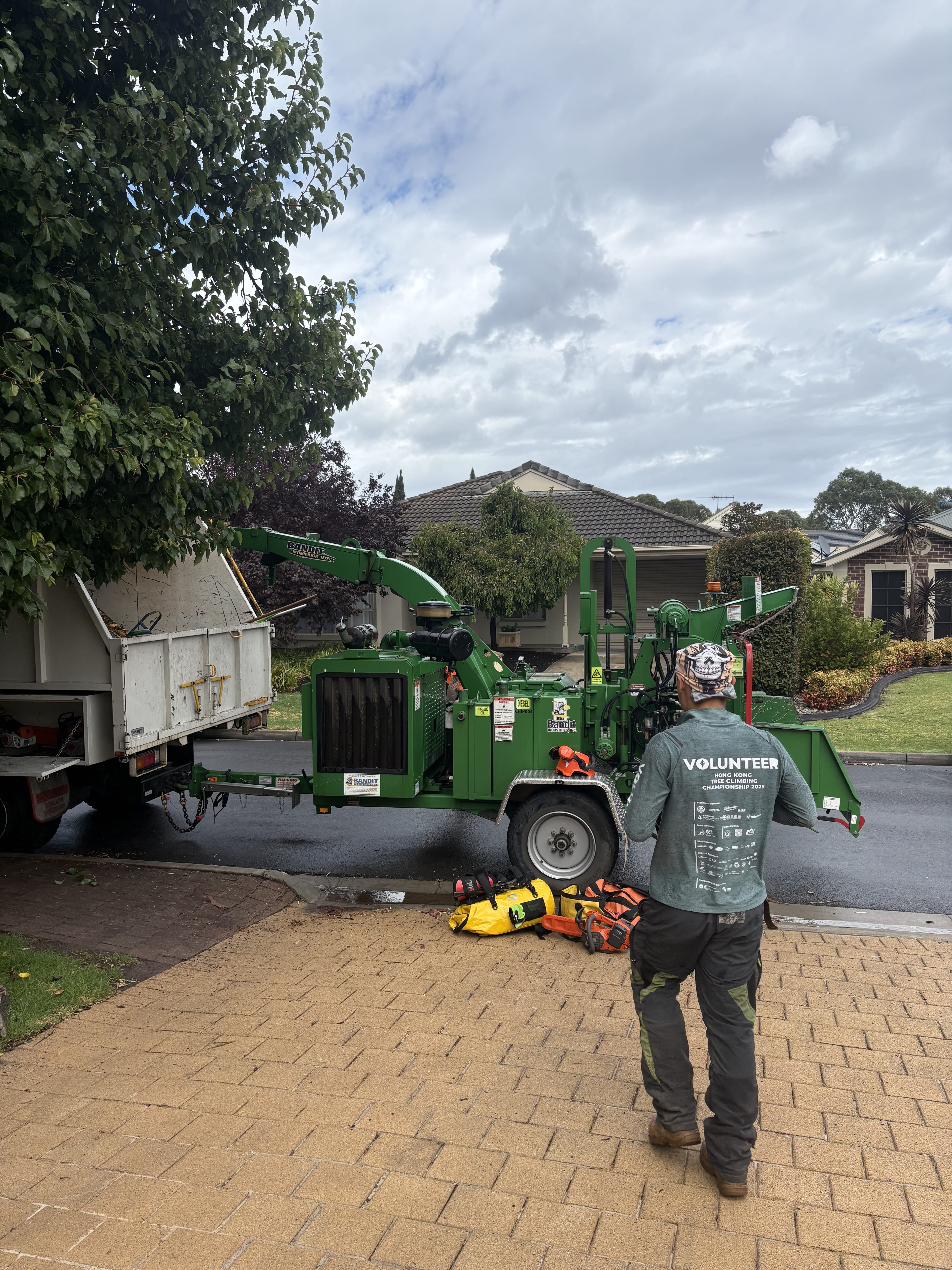Professional arborist at work in Adelaide