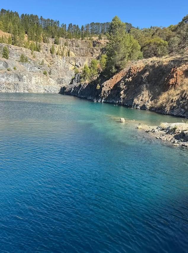 Community Activities