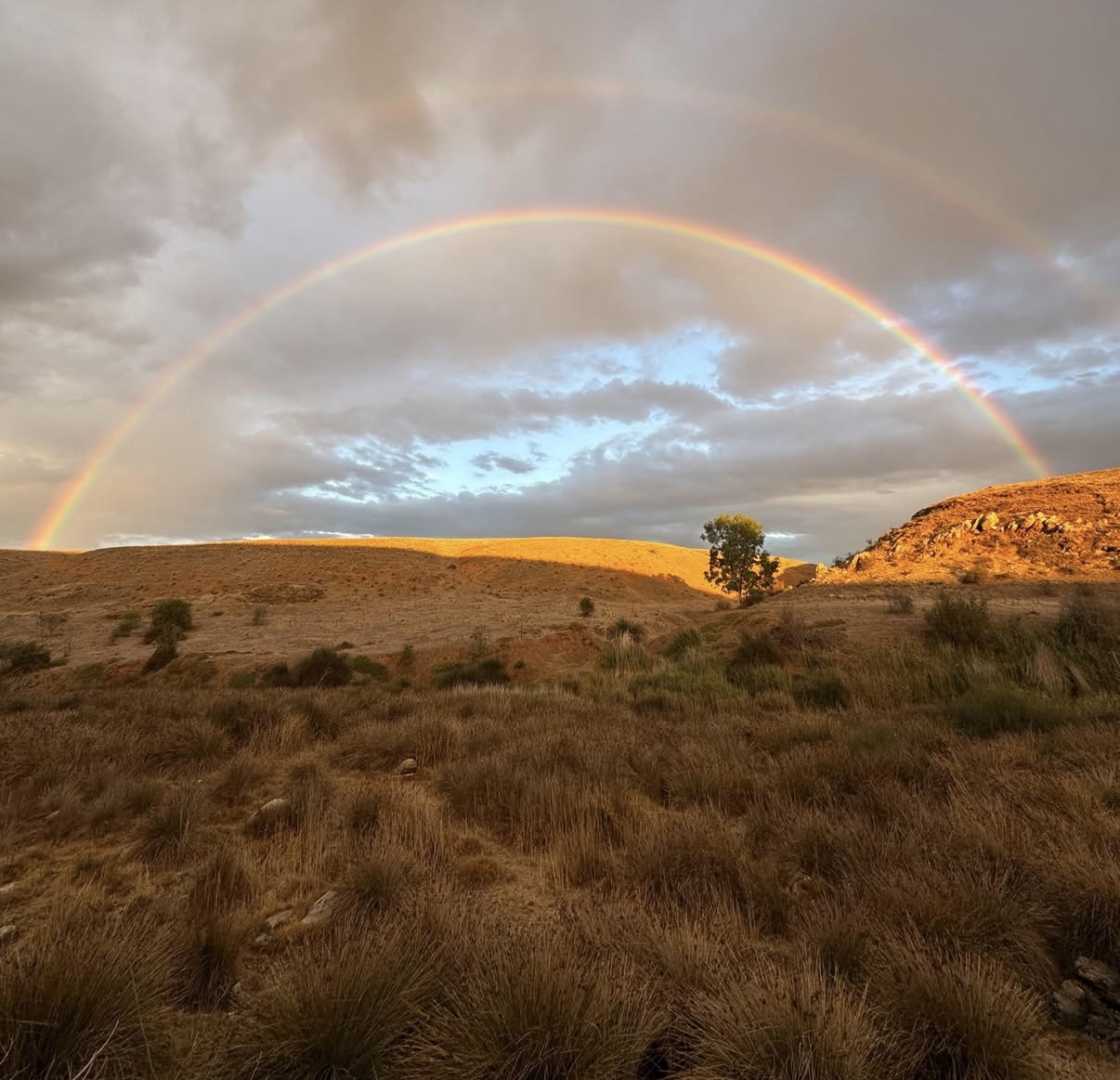 Rockies at Mallala at Sunset
