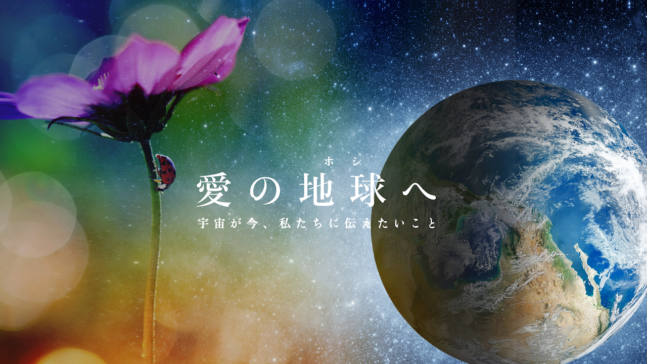 ギャラリー内観3