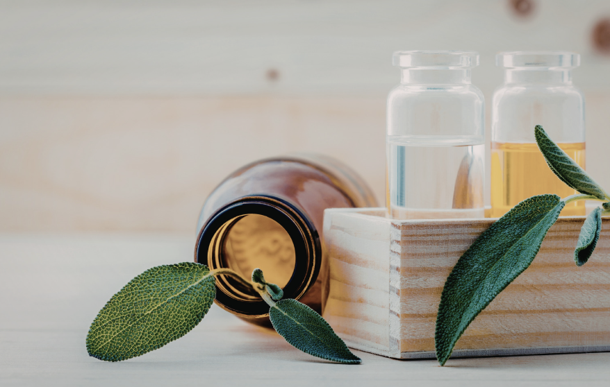 Dark botanical arrangement