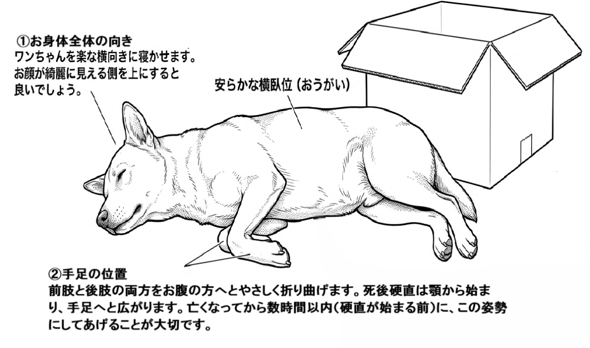 ご安置の方法イラスト