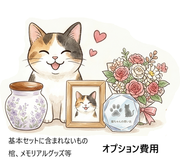 オプションサービスイメージ