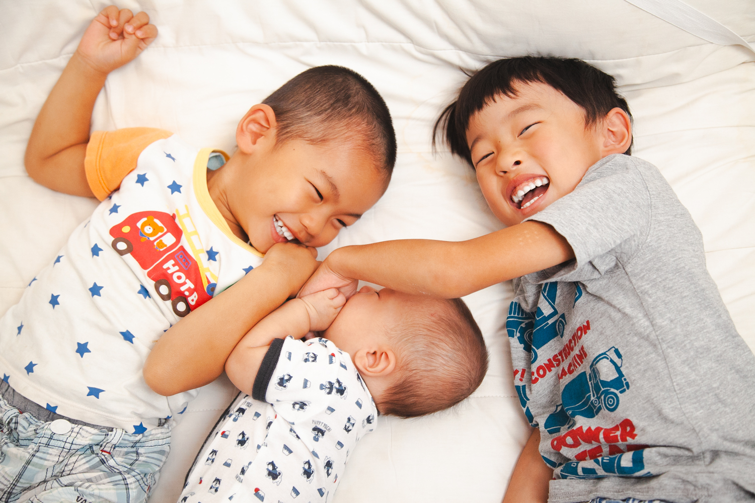 物語フォトの世界