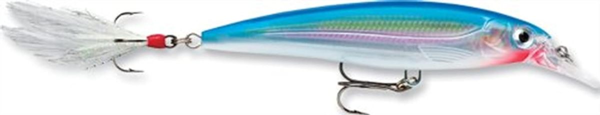 Rapala X-Rap Jerkbait XR10