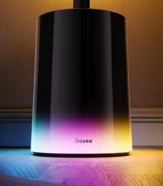 Govee Floor Lamp 2
