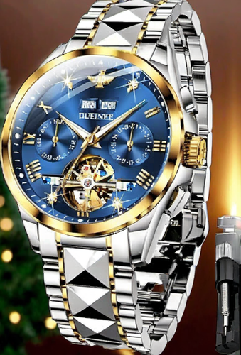 OUPINKE Gold Men Automatic Mechanical Wrist Watch