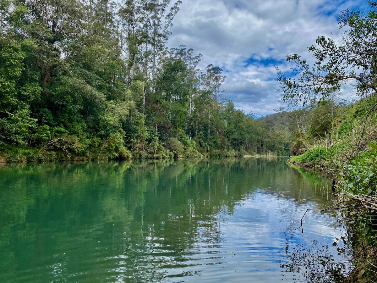 Aerial view of community land meets the Bellinger river