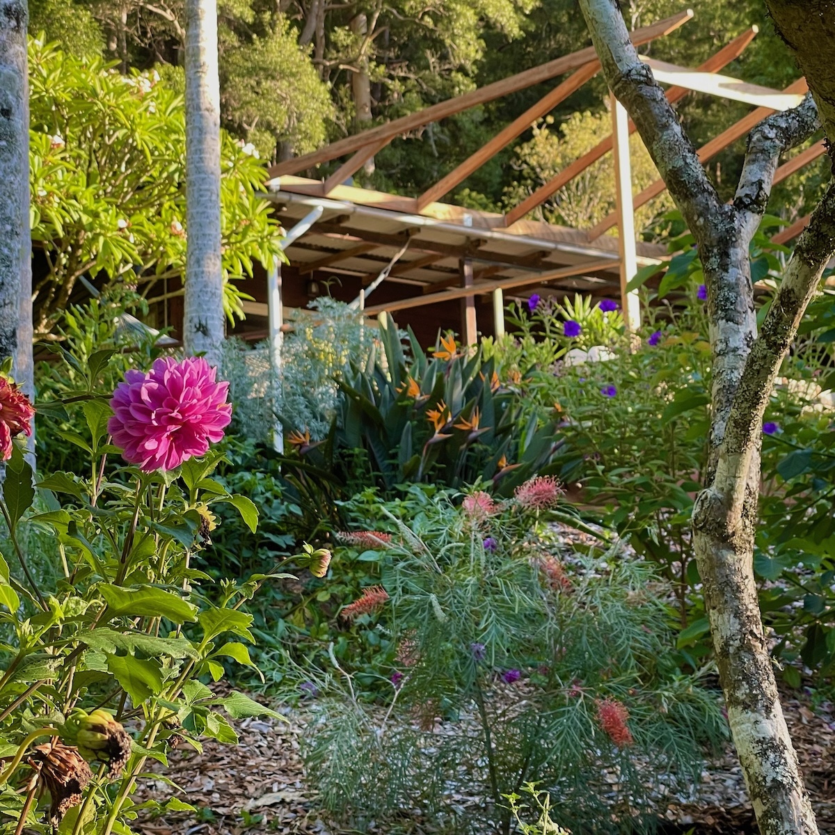 Garden with fruit trees