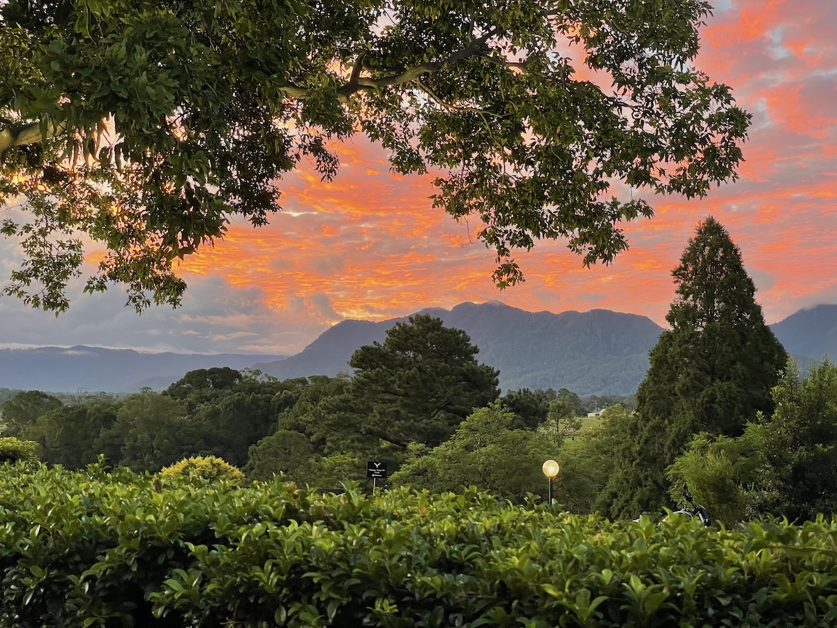 Escarpment views from the property