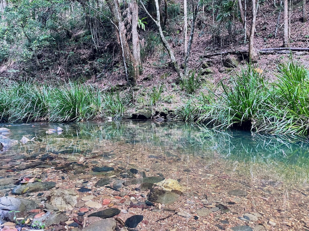 Crystal clear creek
