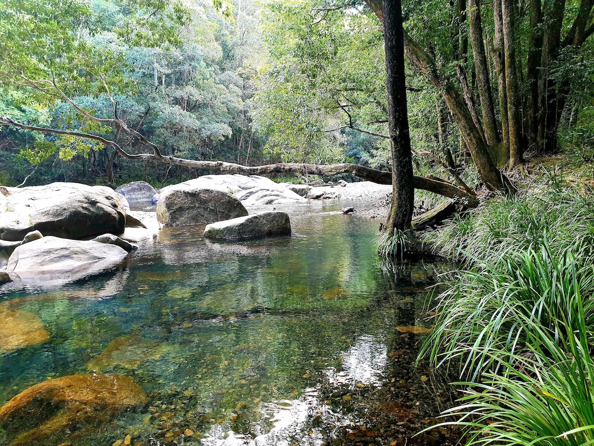 Bellinger River
